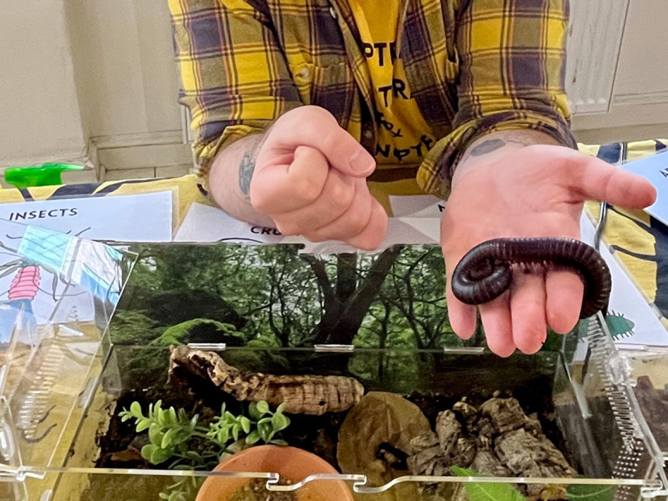 Salem Public Schools Grade 2 Habitat Fair